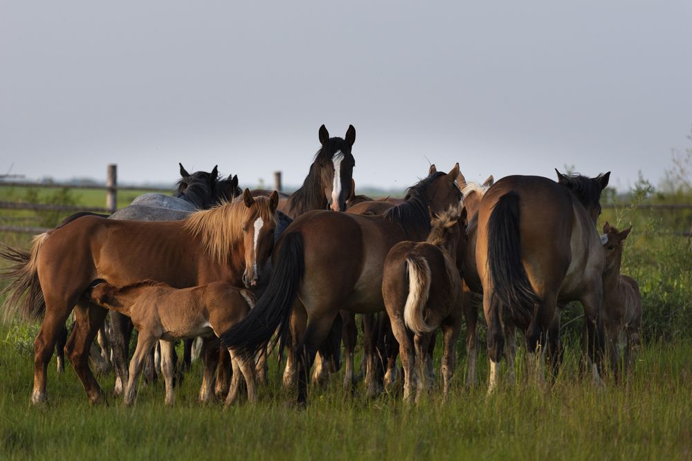 Фотография автора Елена Вторушина