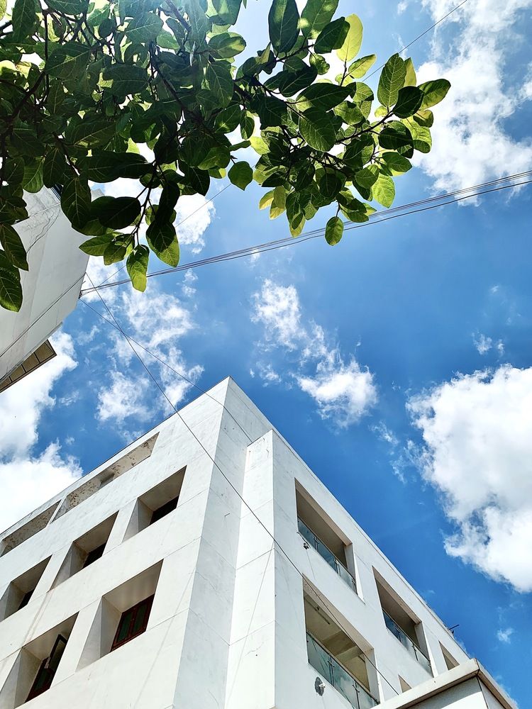 Photograph by Aashu Pandya