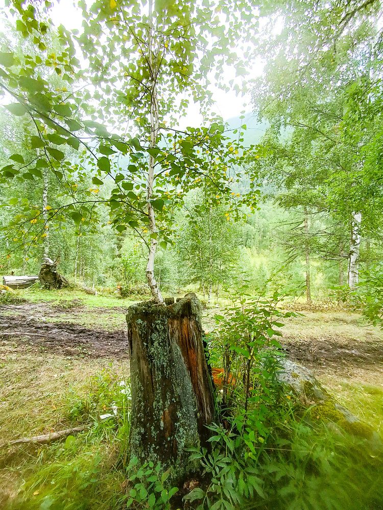 Photograph by Александр Степанов