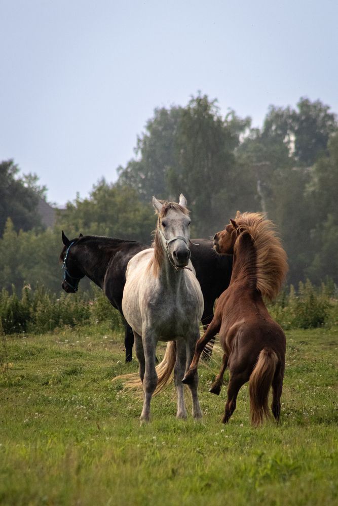 Photograph by Дмитрий Костяков