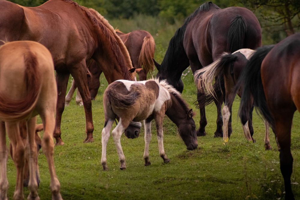 Photograph by Дмитрий Костяков