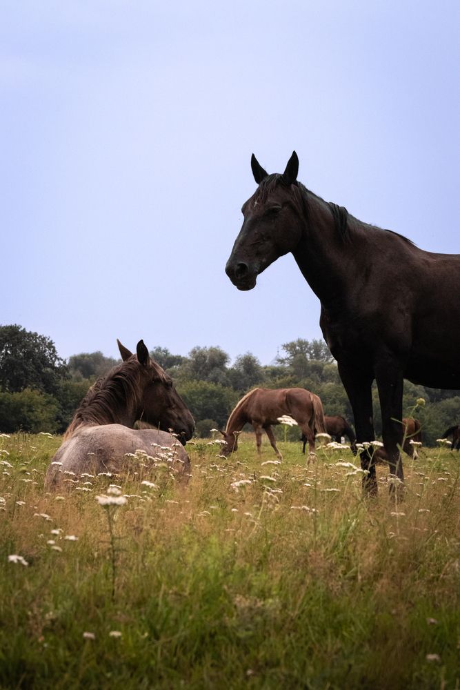 Photograph by Дмитрий Костяков