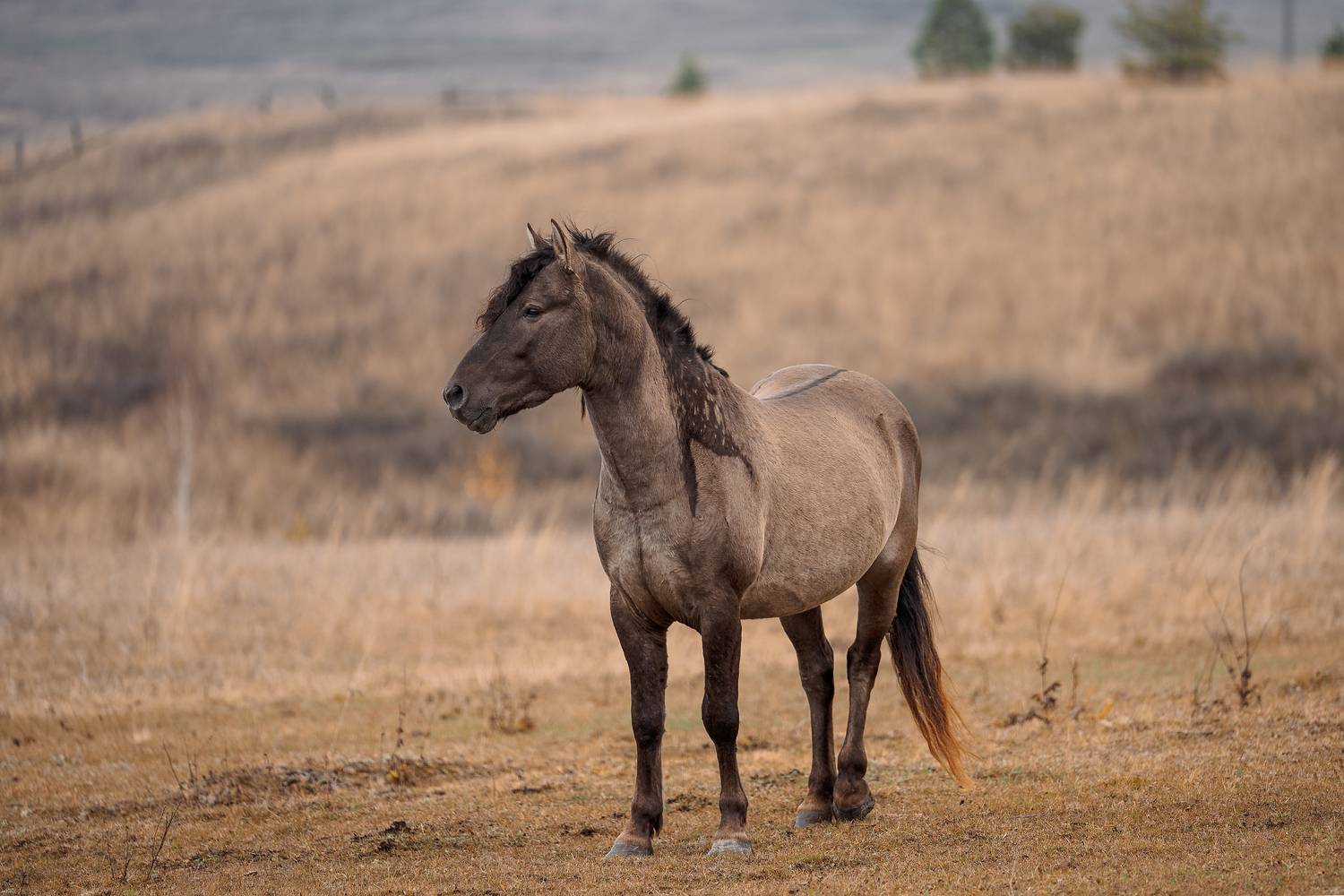 Фотография #12995666