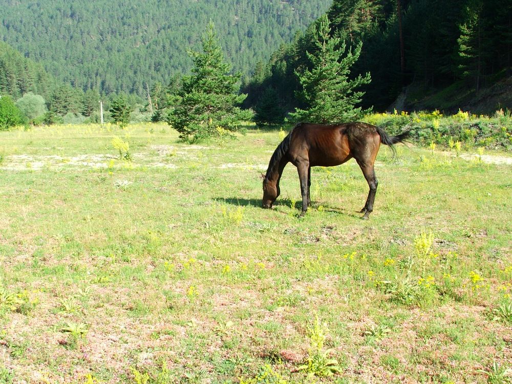 Photograph by Cengiz Yalcin