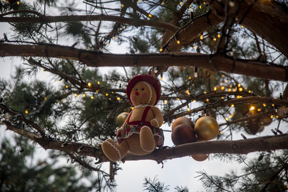 Photograph by Алексей Кацан