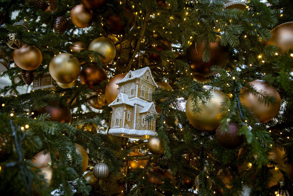 Photograph by Алексей Кацан