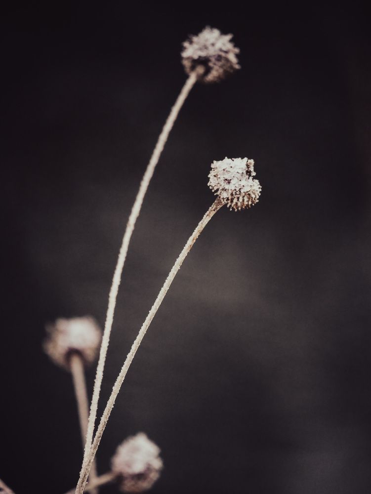 Photograph by Сергей Забиякин