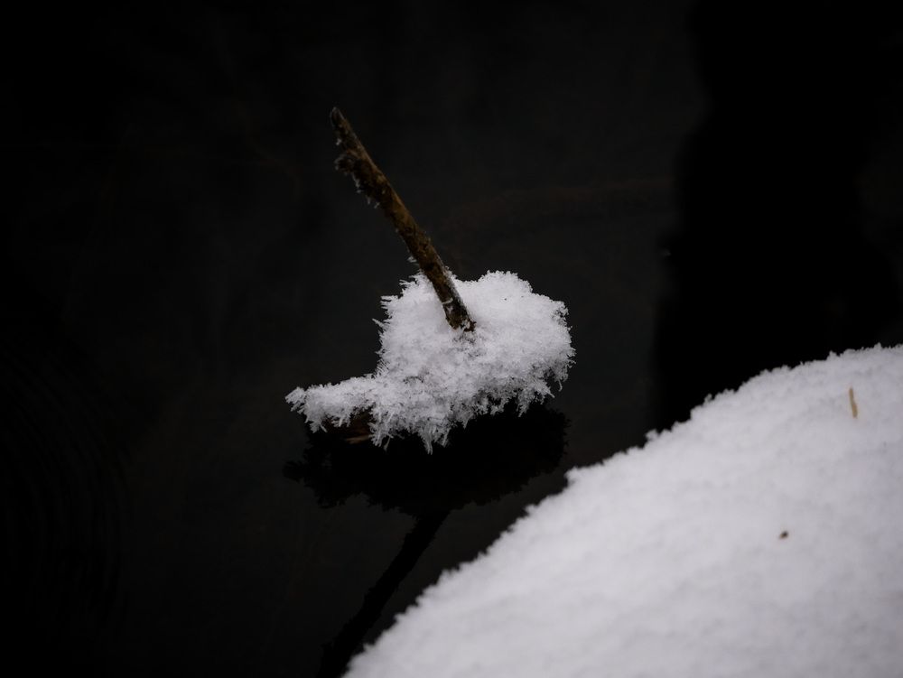 Photograph by Сергей Забиякин