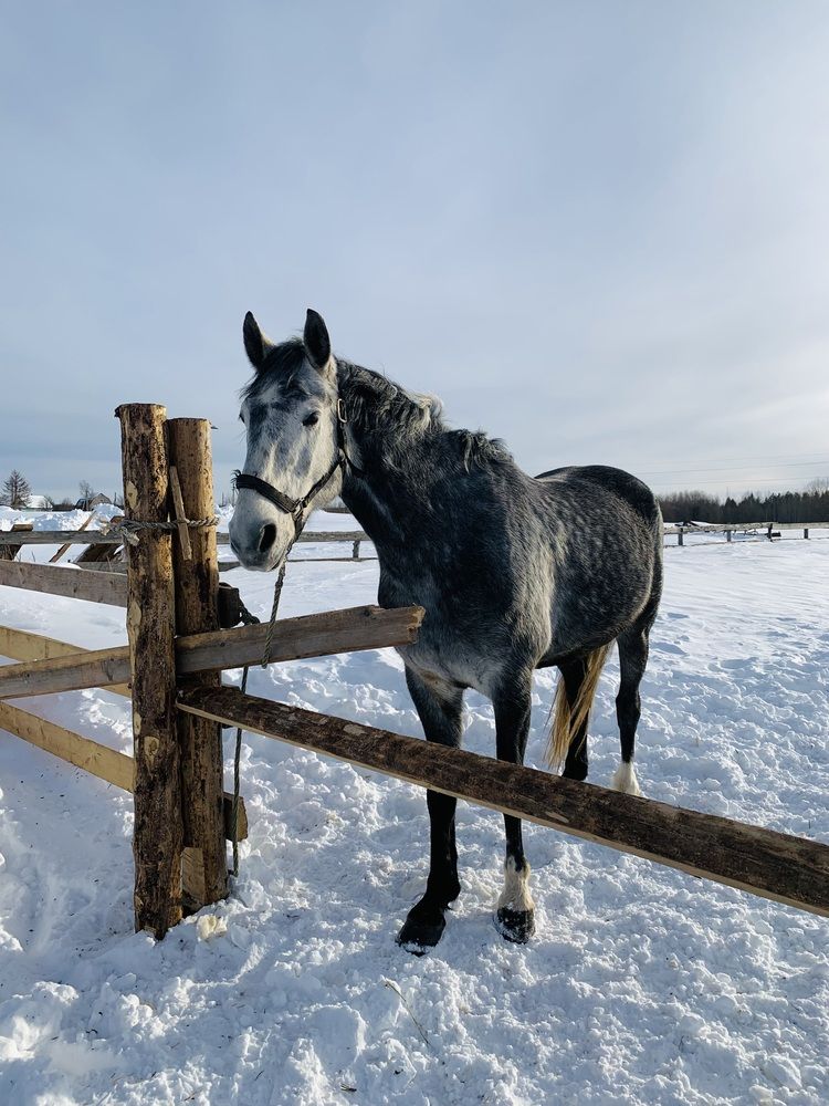 Photograph by Наталья Бирук