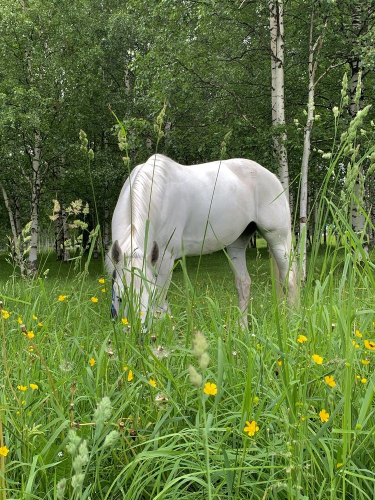 Photograph by Наталья Бирук