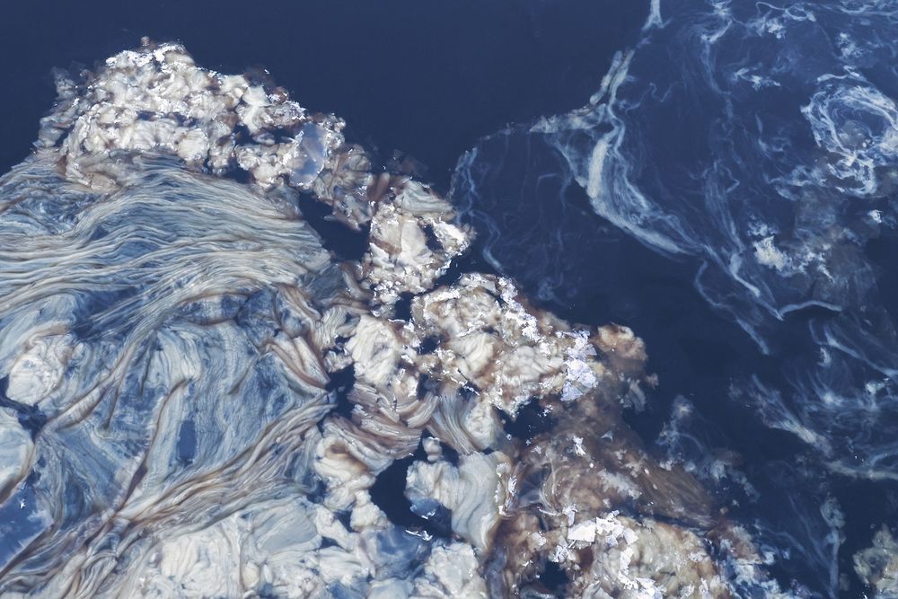 Photograph by Дарья Гусева