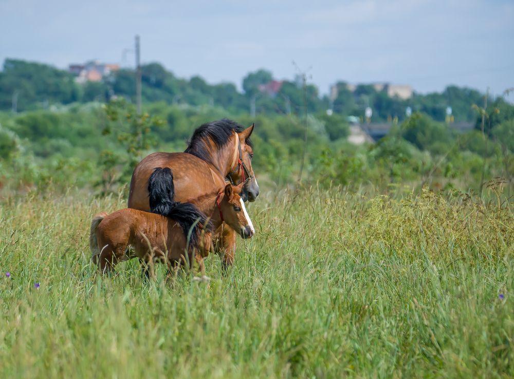 Photograph by Сергей Пидронов