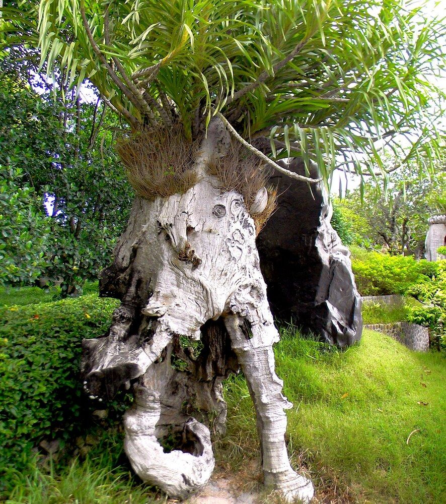 Дерево превращается в слона