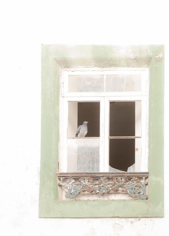 Photograph by Laurénia Rosa