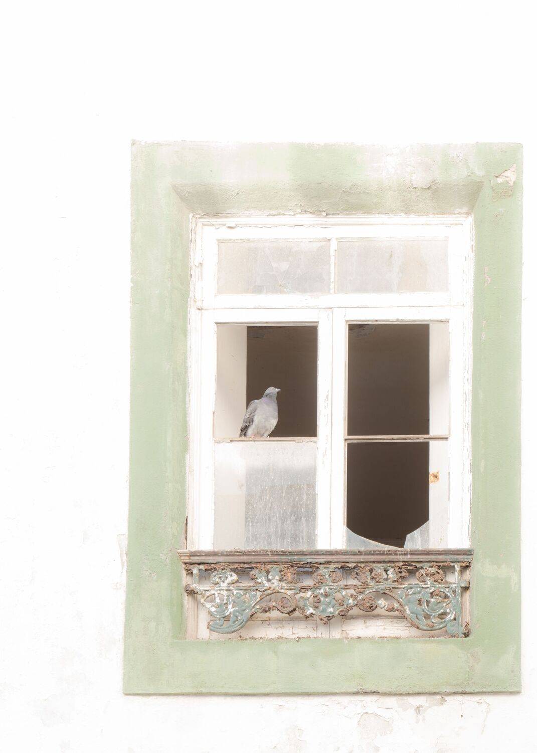 Photo #12995775