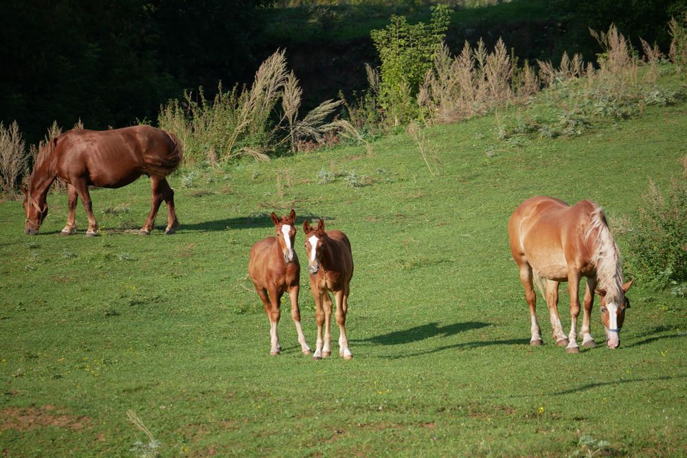 Photograph by Сергей Забиякин