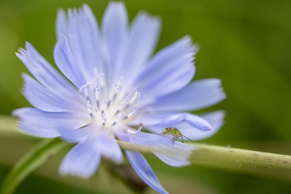 Photograph by Алексей Кацан