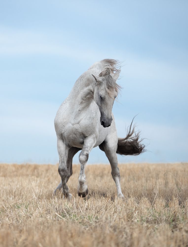 Photograph by Татьяна Немова
