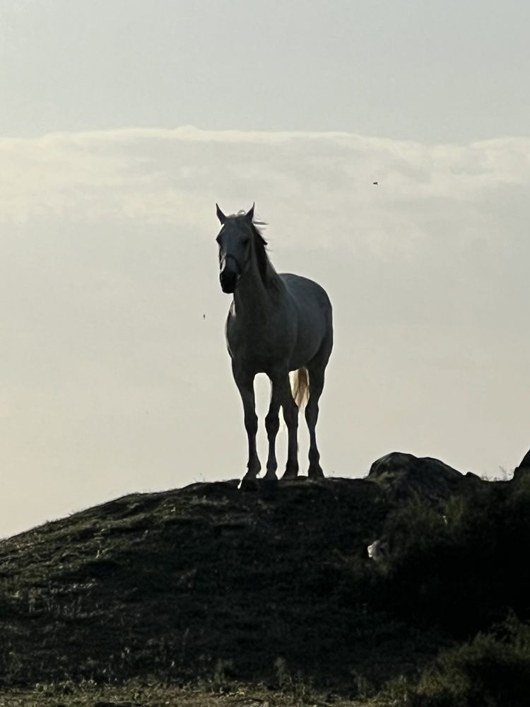 Photograph by Фарида Абакарова