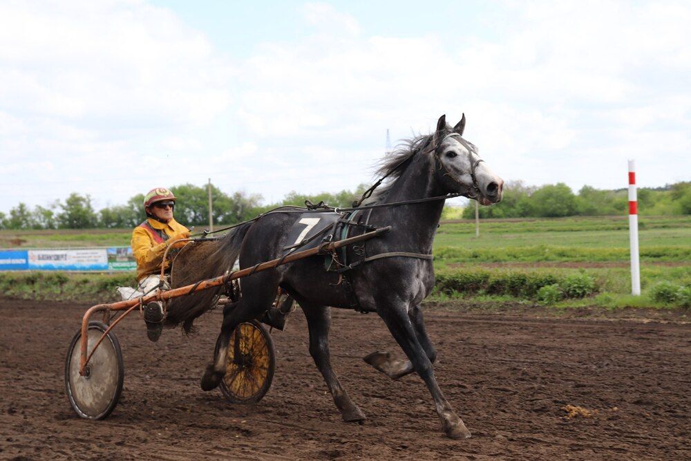 Photograph by Nadin Gaaze