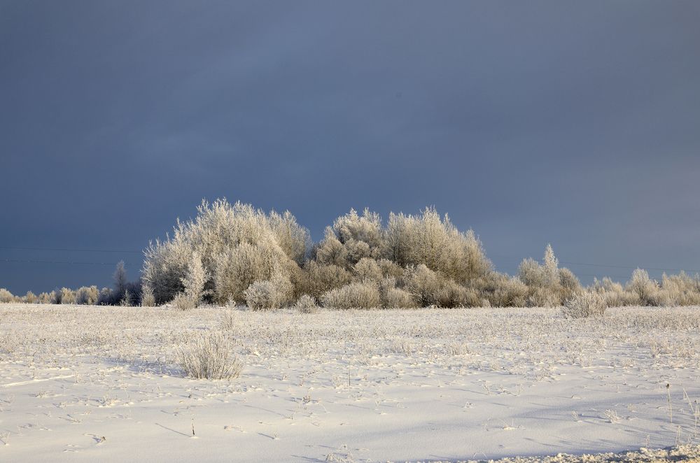 Photograph by Олег С