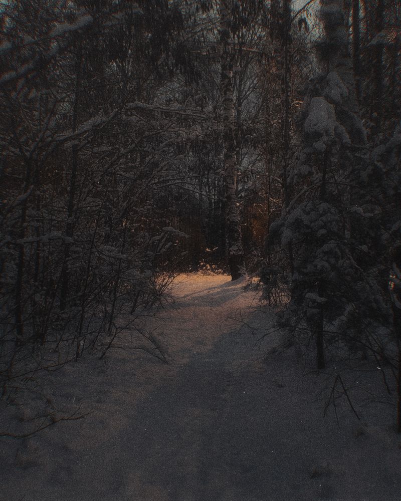 Photograph by Александра Бусарова