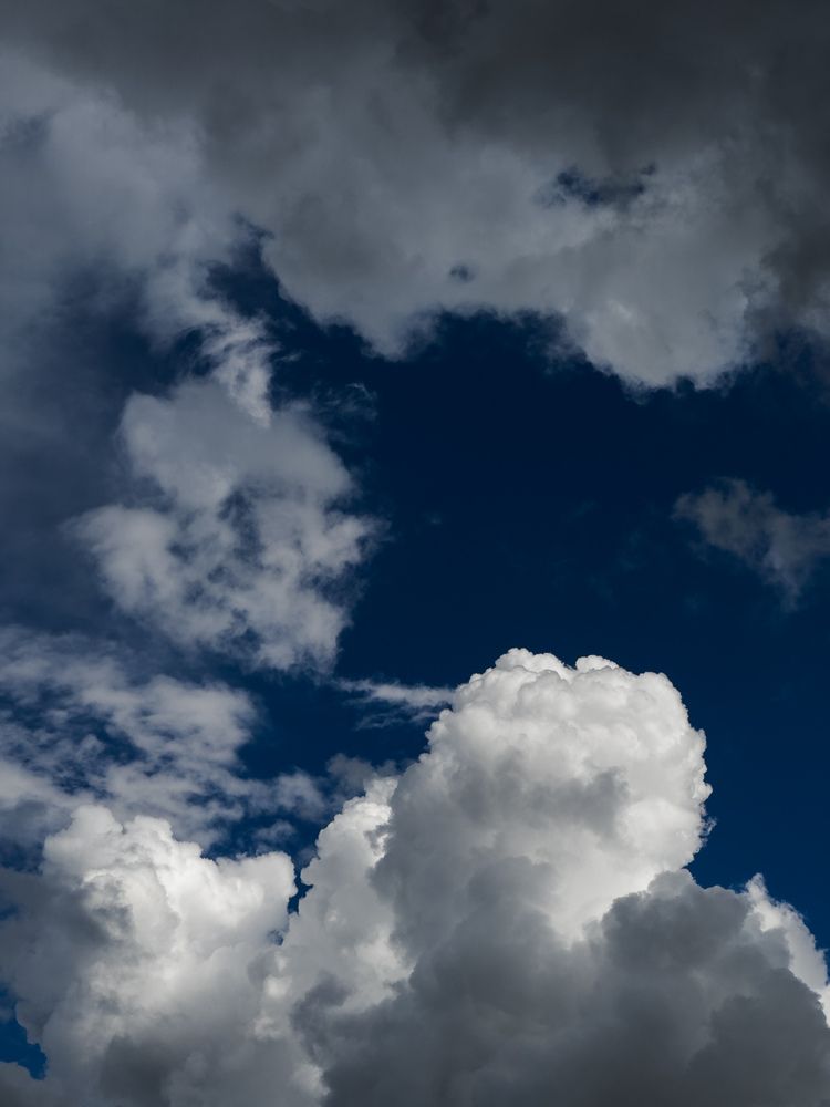 Photograph by Ася Жгенти