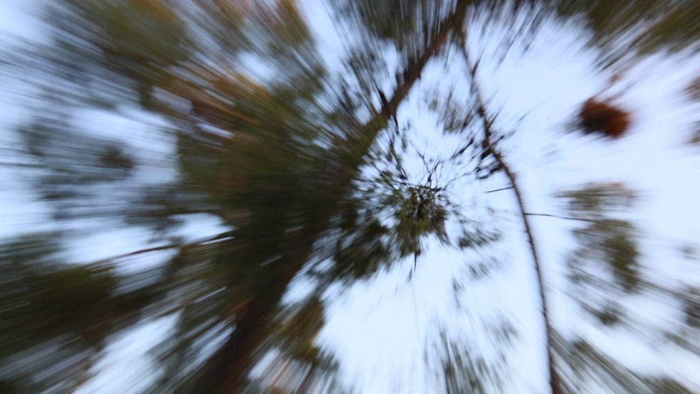 Фотография автора Ольга Лянная