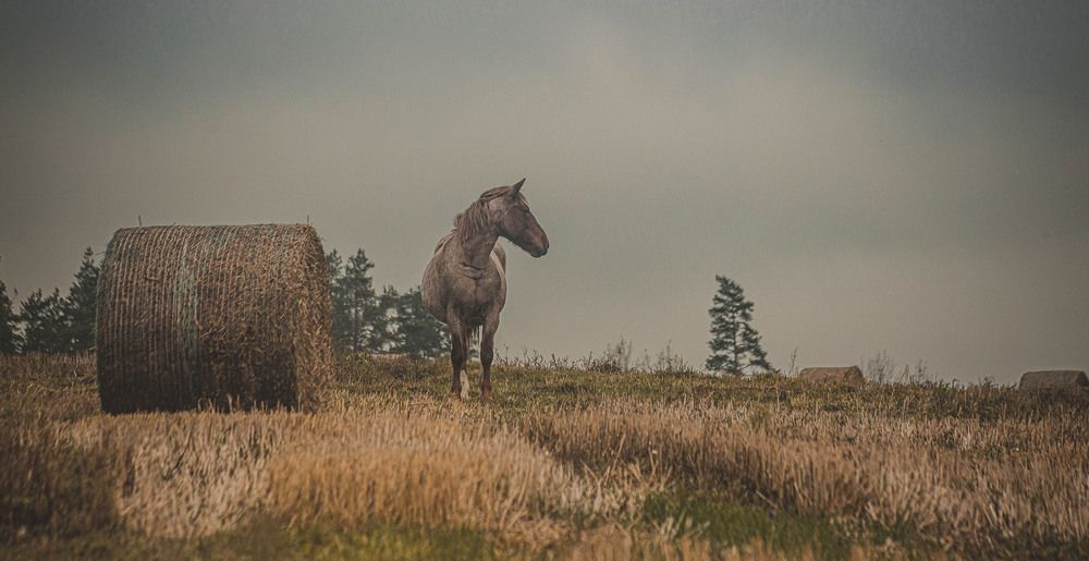 Фотография автора Екатерина Счасная