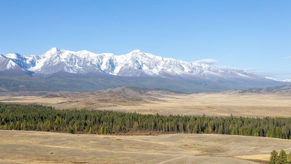 Photograph by Владимир Коровин