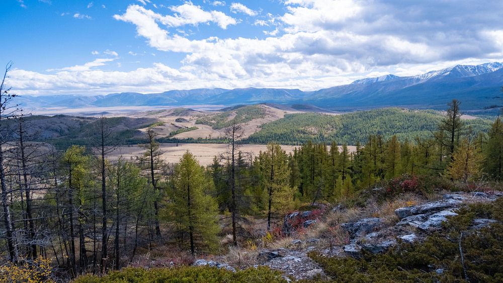 Photograph by Владимир Коровин