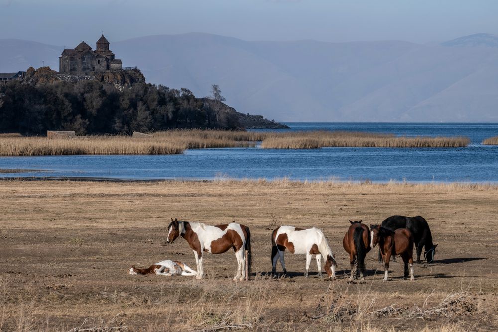 Фотография автора Владимир