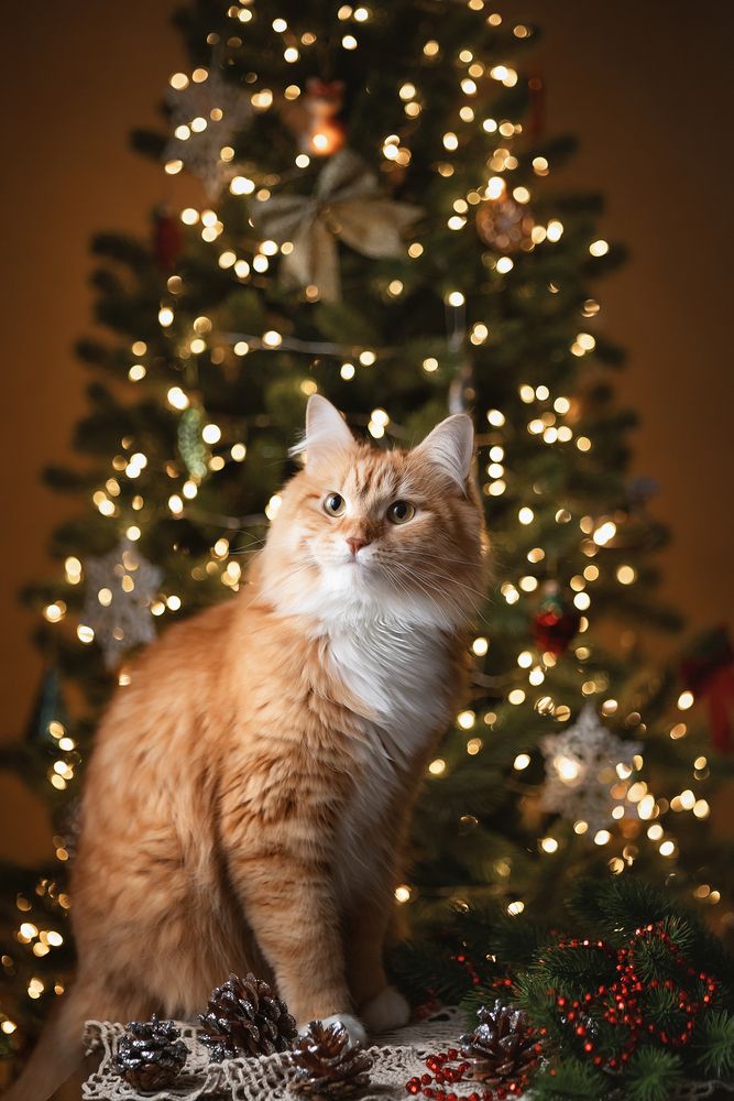 Photograph by Елена Косинова