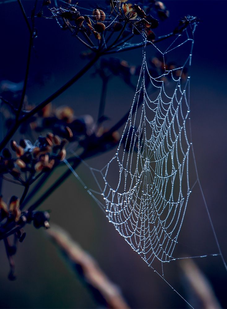 Photograph by Надежда Хрусталёва