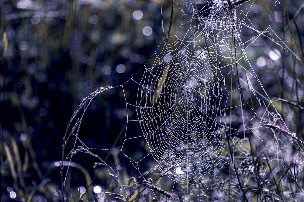Photograph by Надежда Хрусталёва