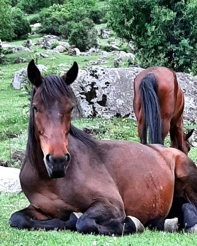 Фотография автора Наталья Гаврилова