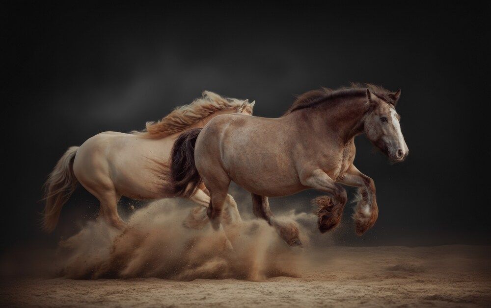 Photograph by Онучина Юлия