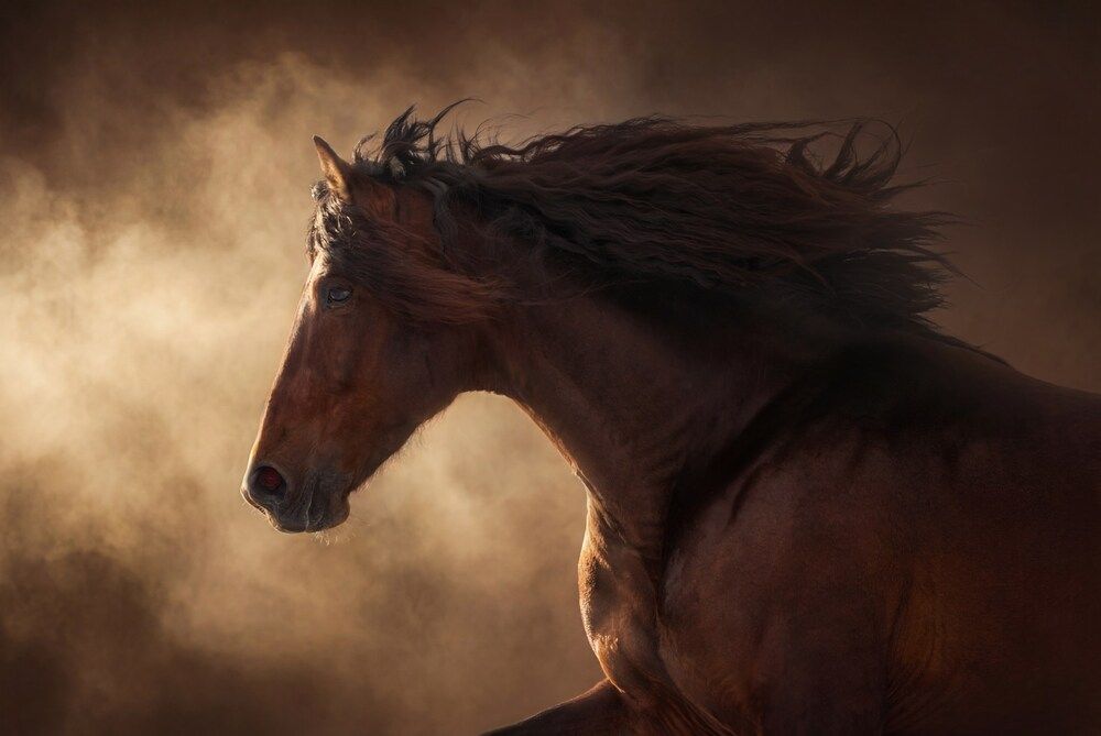 Photograph by Онучина Юлия