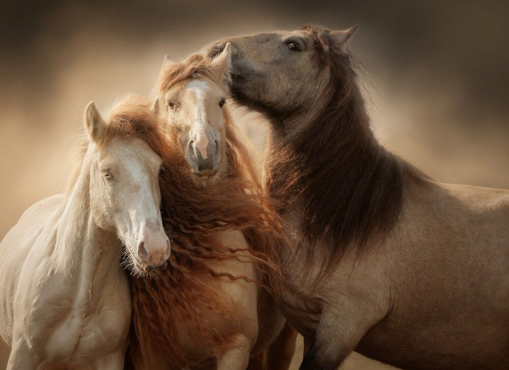 Photograph by Онучина Юлия