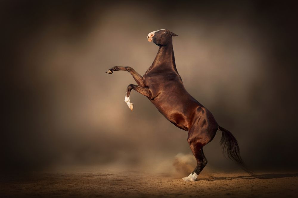 Photograph by Онучина Юлия