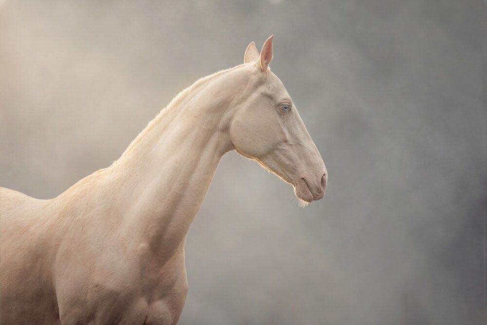 Photograph by Онучина Юлия