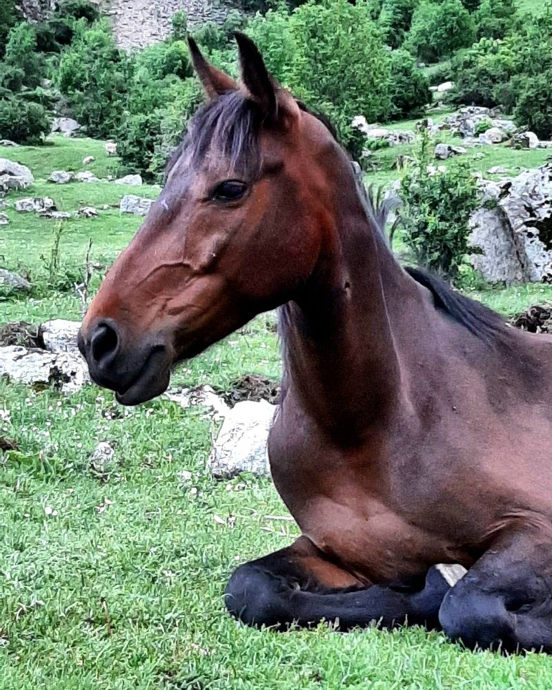 Фотография автора Наталья Гаврилова