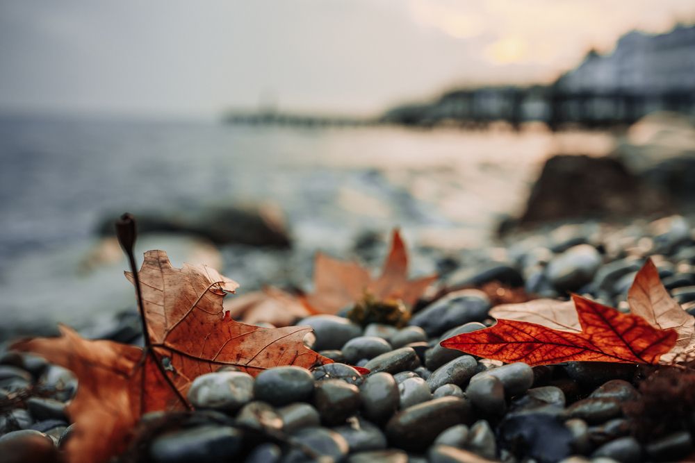 Photograph by Андрей