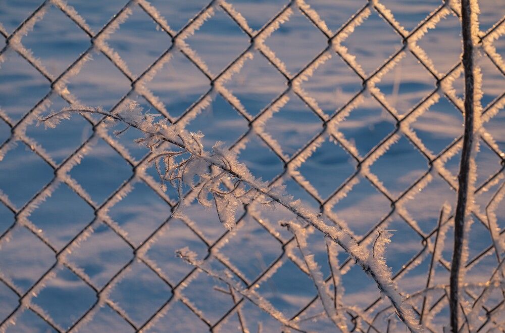 Photograph by Анна Архангельская