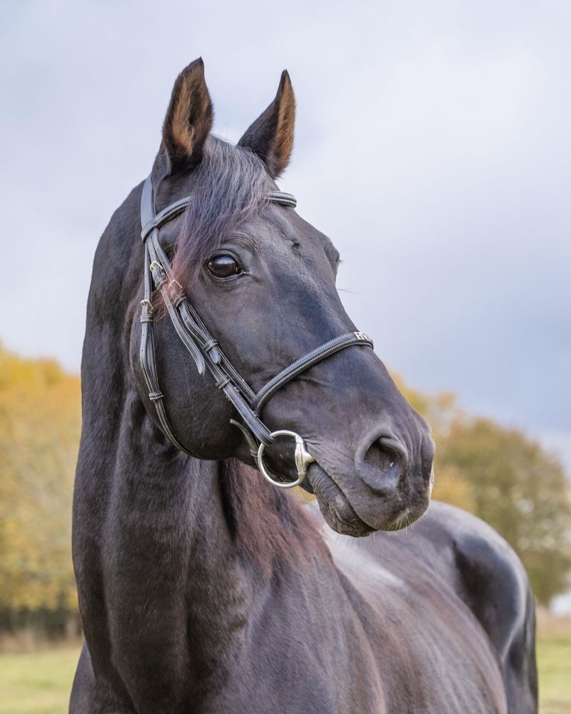 Photograph by Юлия Сидорова