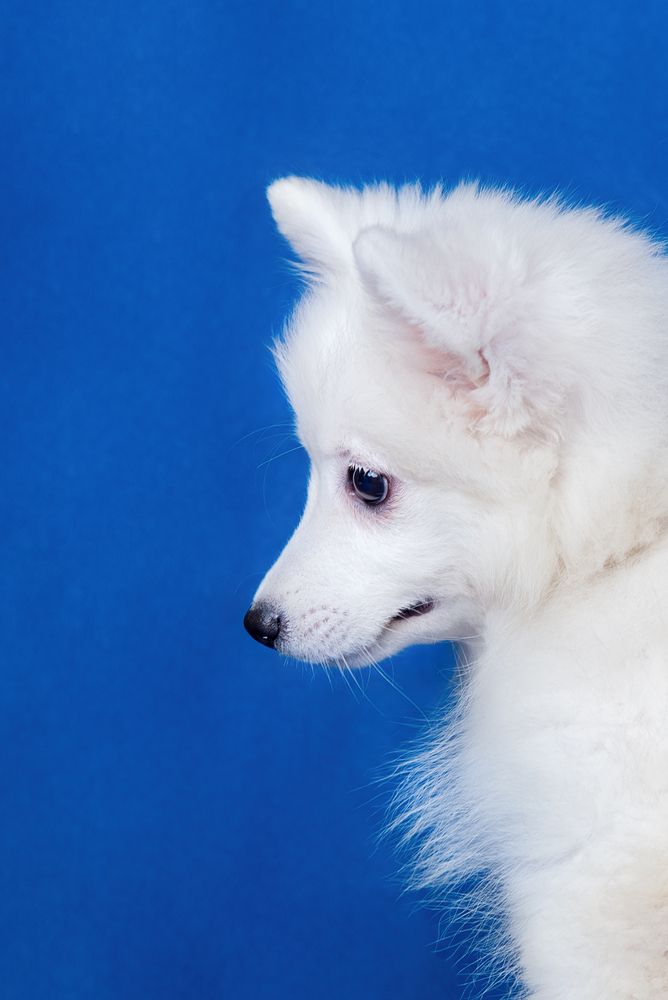 Photograph by наталья залогина