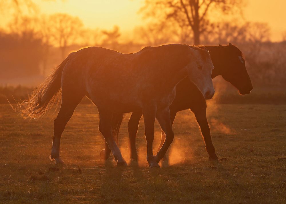 Photograph by Wendy Vanhoudt
