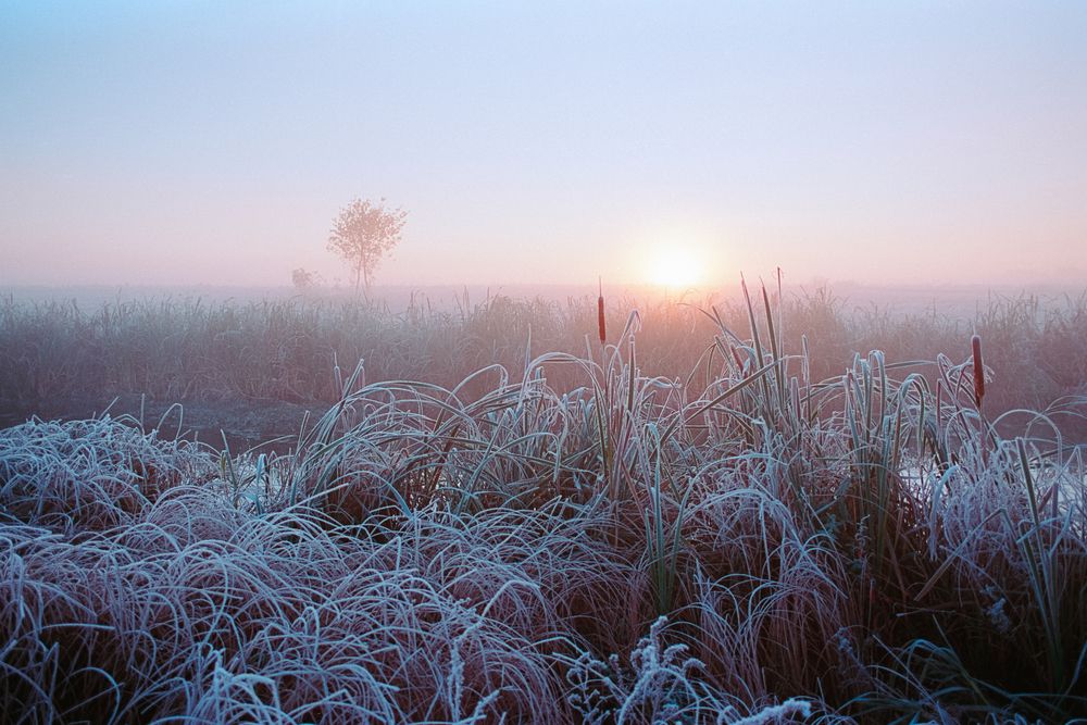 Photograph by Сергей Дивид
