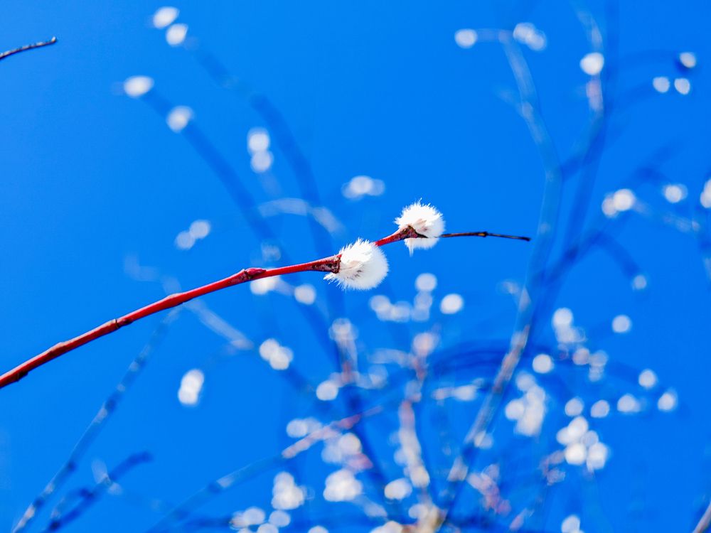 Photograph by Максим Кутсар