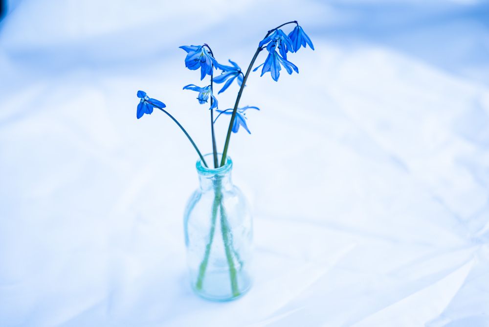 Фотография автора Dmitriy Sotnikov